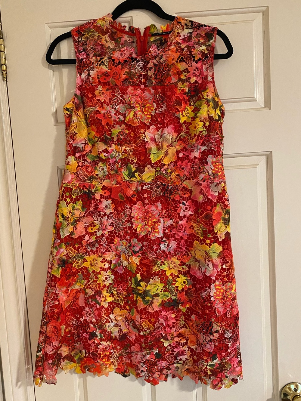 Ellie Tahari mini shift dress in cotton lace, sz 6